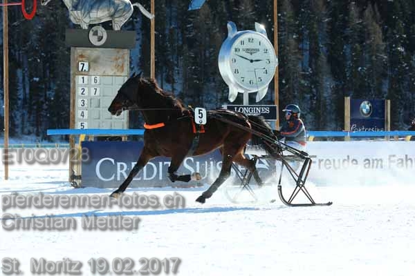ET0Q0728 prot